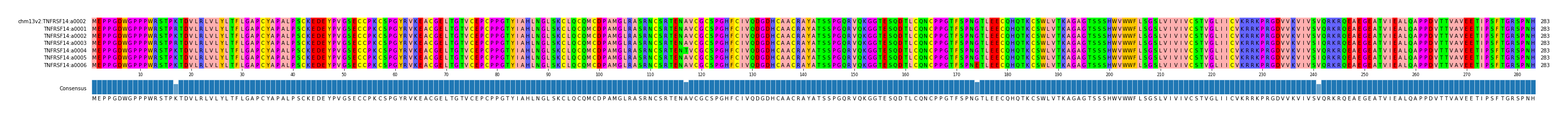 Multiple Alignments (by translate haplotype frequency)