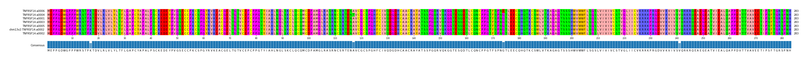 Multiple Alignments (by translate haplotype similarity)