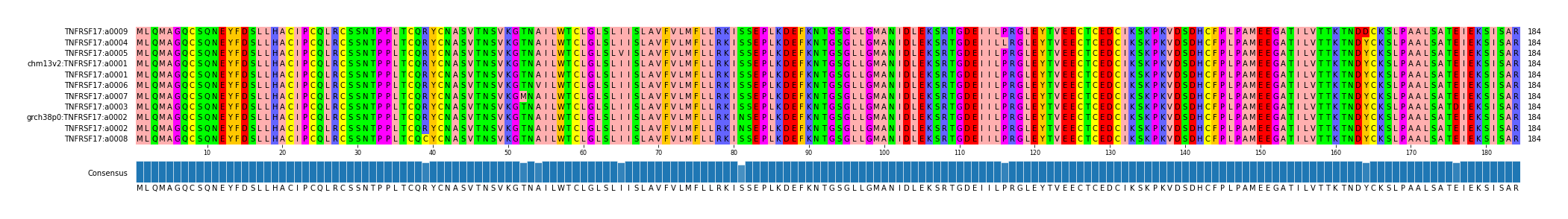 Multiple Alignments (by translate haplotype similarity)