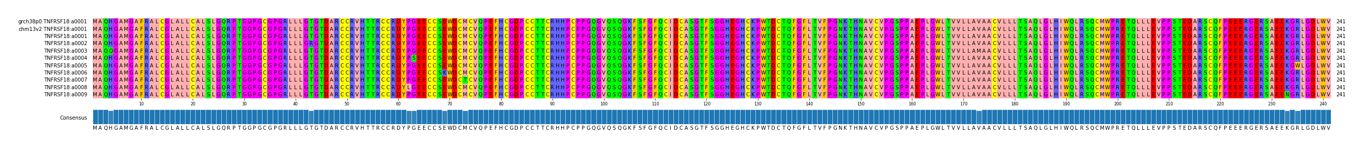 Multiple Alignments (by translate haplotype frequency)
