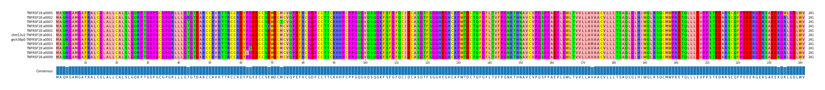 Multiple Alignments (by translate haplotype similarity)