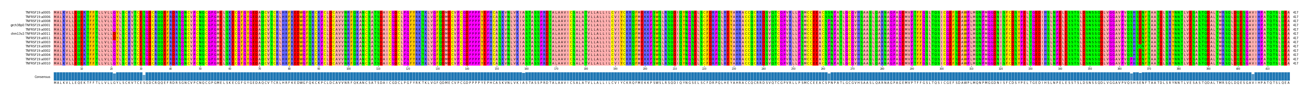 Multiple Alignments (by translate haplotype similarity)