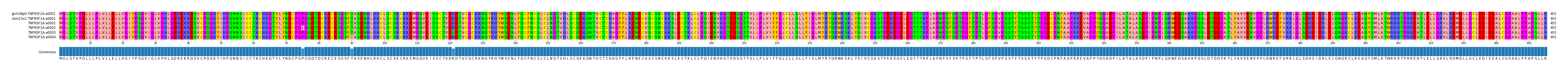 Multiple Alignments (by translate haplotype frequency)