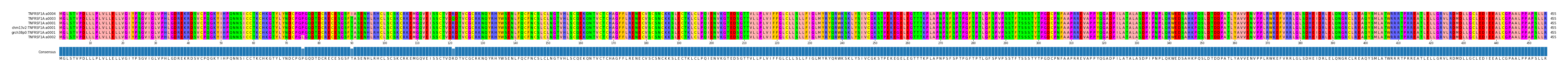 Multiple Alignments (by translate haplotype similarity)