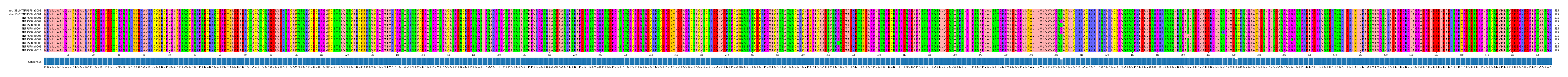 Multiple Alignments (by translate haplotype frequency)