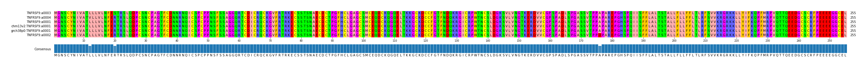 Multiple Alignments (by translate haplotype similarity)