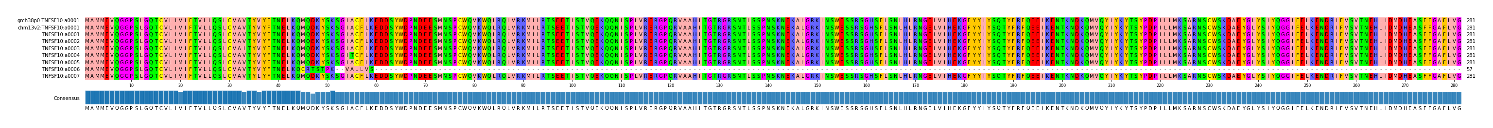Multiple Alignments (by translate haplotype frequency)