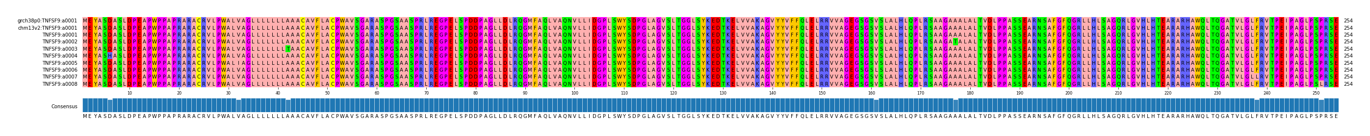 Multiple Alignments (by translate haplotype frequency)