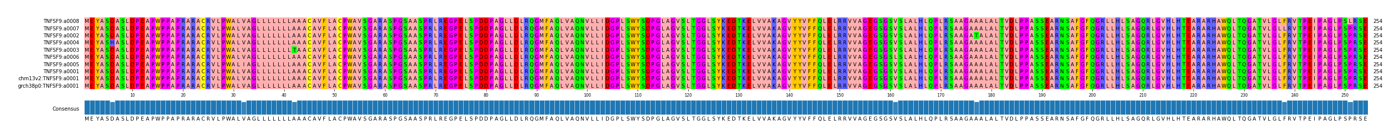 Multiple Alignments (by translate haplotype similarity)