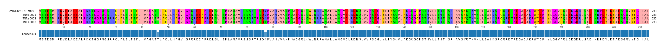 Multiple Alignments (by translate haplotype frequency)