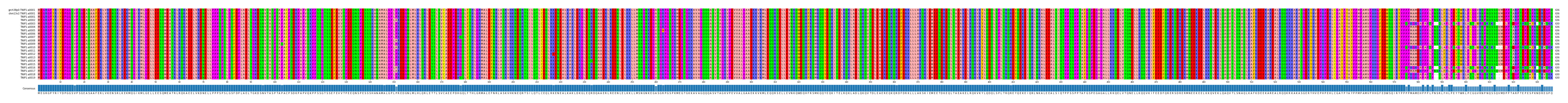 Multiple Alignments (by translate haplotype frequency)