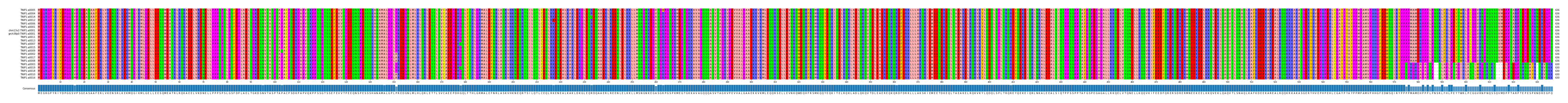 Multiple Alignments (by translate haplotype similarity)