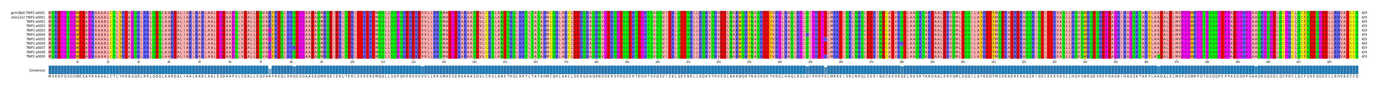 Multiple Alignments (by translate haplotype frequency)