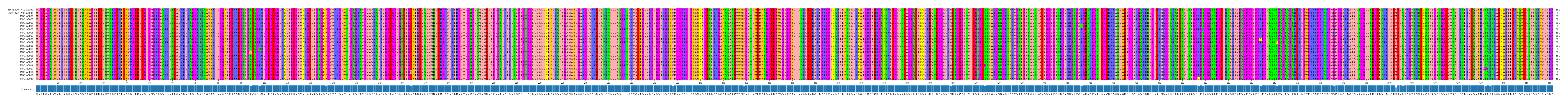 Multiple Alignments (by translate haplotype frequency)