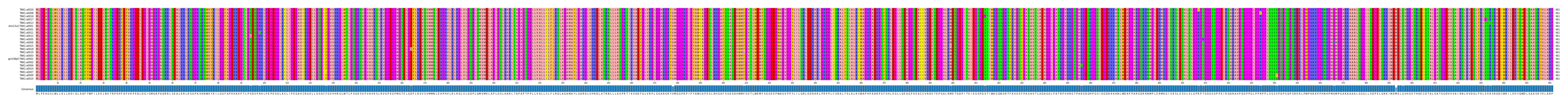 Multiple Alignments (by translate haplotype similarity)