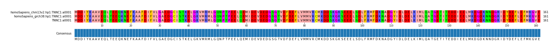 Multiple Alignments (by translate haplotype frequency)