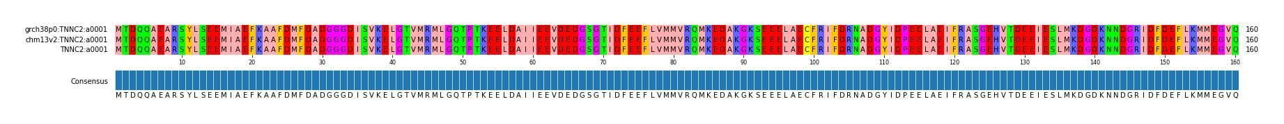 Multiple Alignments (by translate haplotype frequency)