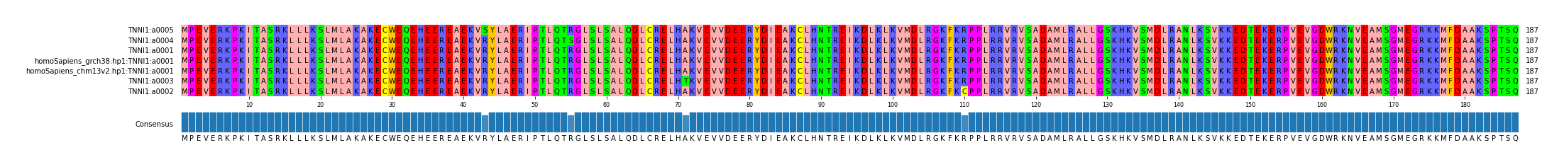 Multiple Alignments (by translate haplotype similarity)