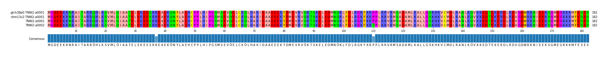 Multiple Alignments (by translate haplotype similarity)