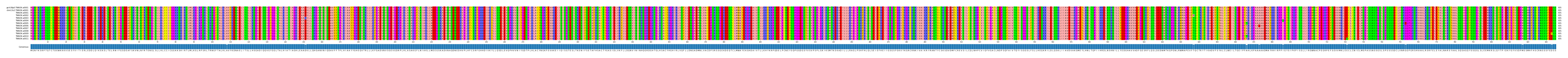 Multiple Alignments (by translate haplotype frequency)