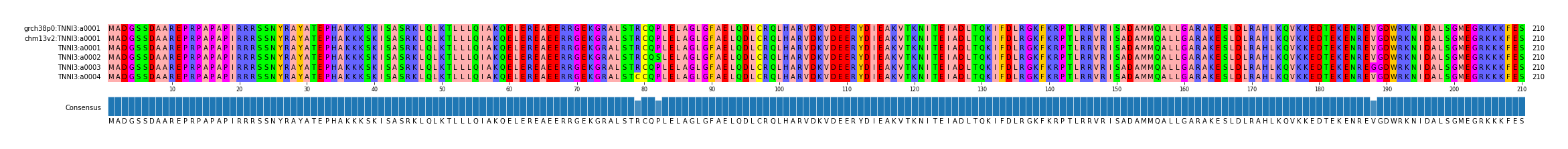 Multiple Alignments (by translate haplotype frequency)