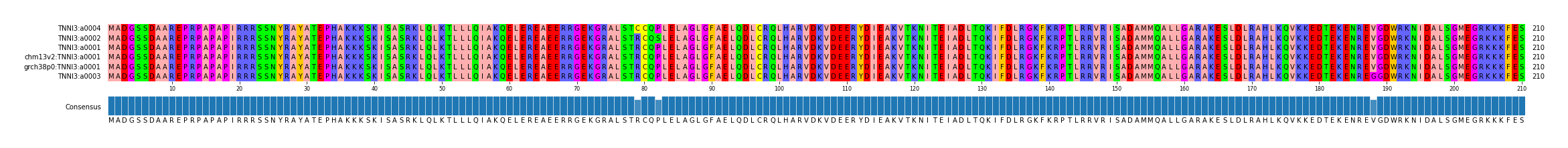 Multiple Alignments (by translate haplotype similarity)