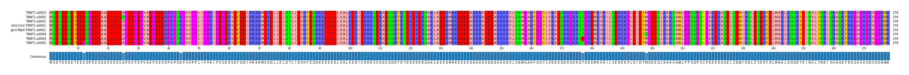 Multiple Alignments (by translate haplotype similarity)