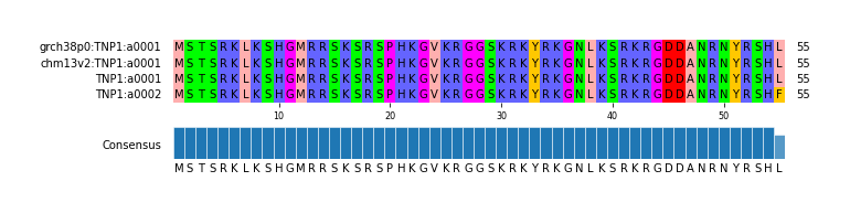 Multiple Alignments (by translate haplotype similarity)