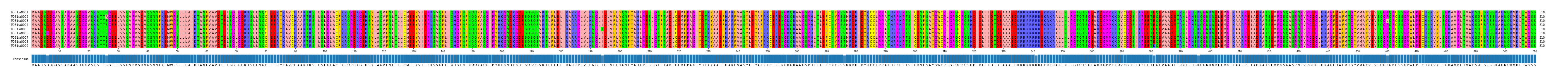 Multiple Alignments (by translate haplotype frequency)