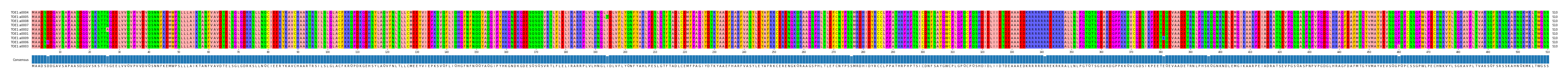 Multiple Alignments (by translate haplotype similarity)