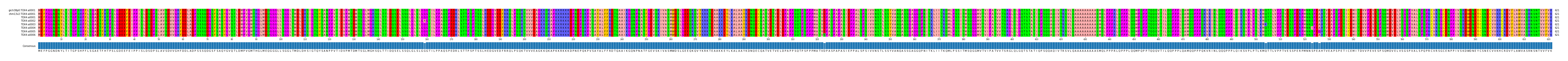 Multiple Alignments (by translate haplotype frequency)