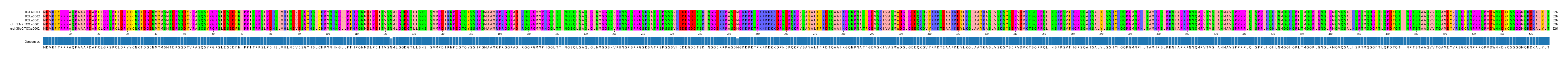 Multiple Alignments (by translate haplotype similarity)