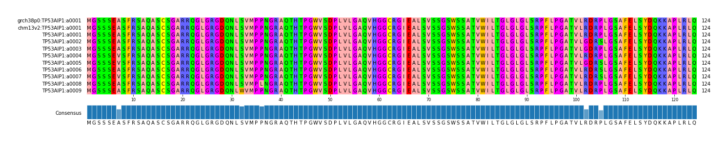 Multiple Alignments (by translate haplotype frequency)