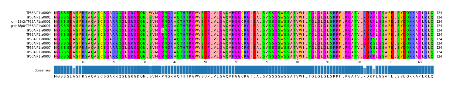 Multiple Alignments (by translate haplotype similarity)