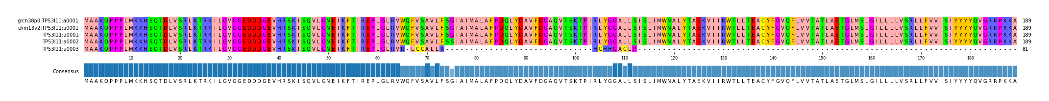 Multiple Alignments (by translate haplotype frequency)