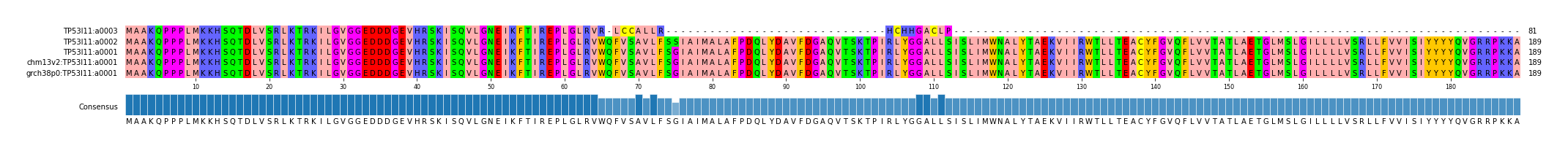 Multiple Alignments (by translate haplotype similarity)