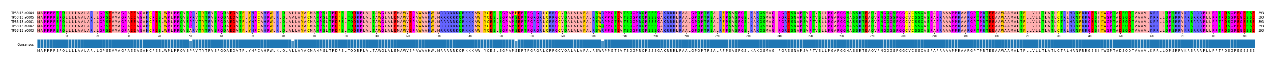 Multiple Alignments (by translate haplotype similarity)
