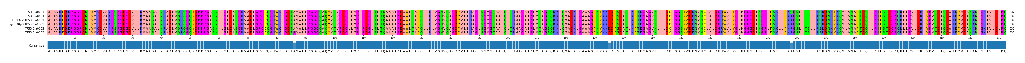 Multiple Alignments (by translate haplotype similarity)