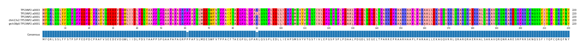 Multiple Alignments (by translate haplotype similarity)