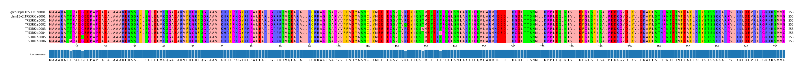 Multiple Alignments (by translate haplotype frequency)