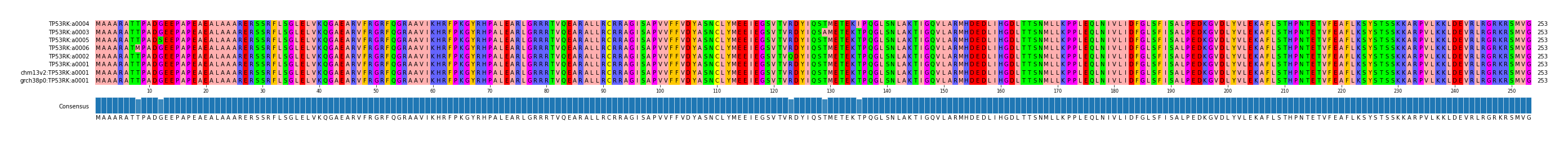 Multiple Alignments (by translate haplotype similarity)