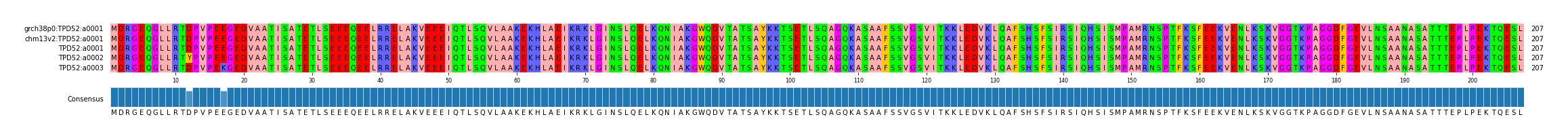 Multiple Alignments (by translate haplotype frequency)