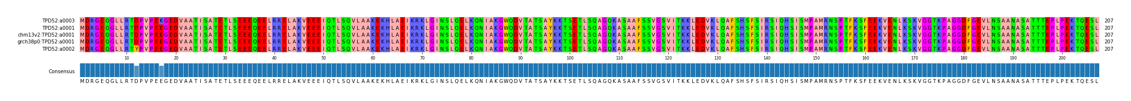 Multiple Alignments (by translate haplotype similarity)