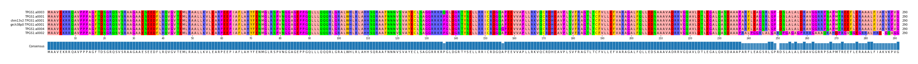 Multiple Alignments (by translate haplotype similarity)