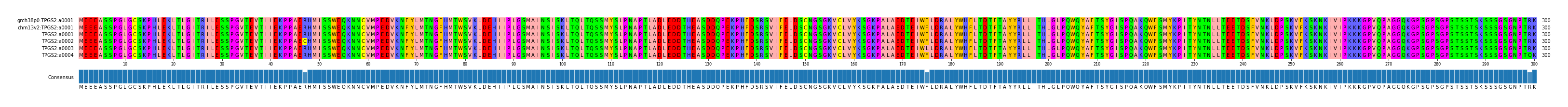 Multiple Alignments (by translate haplotype frequency)