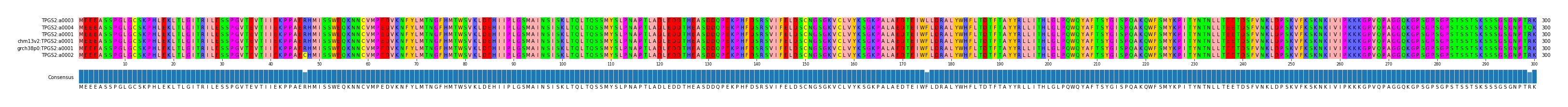 Multiple Alignments (by translate haplotype similarity)