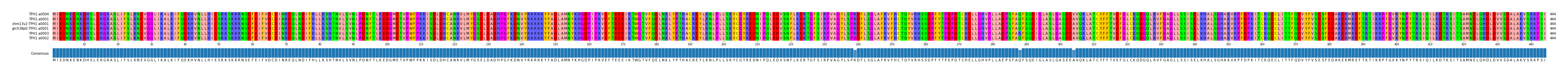 Multiple Alignments (by translate haplotype similarity)