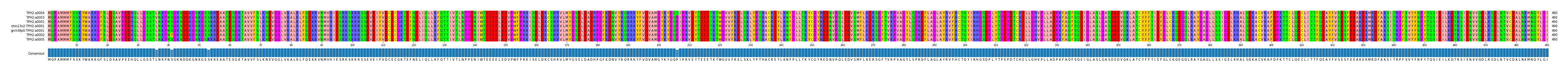Multiple Alignments (by translate haplotype similarity)
