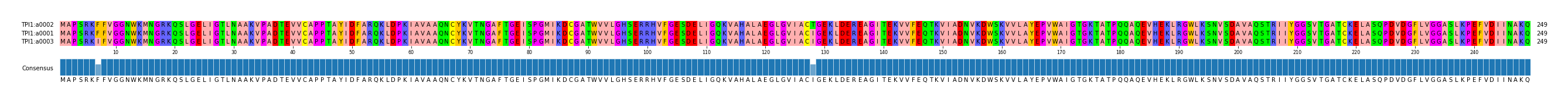 Multiple Alignments (by translate haplotype similarity)