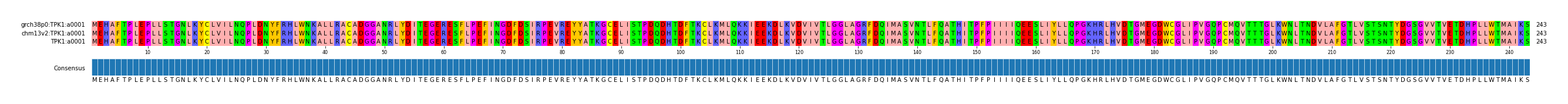 Multiple Alignments (by translate haplotype similarity)